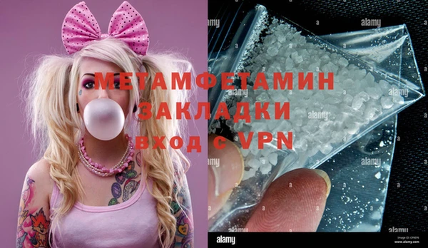 индика Богородицк