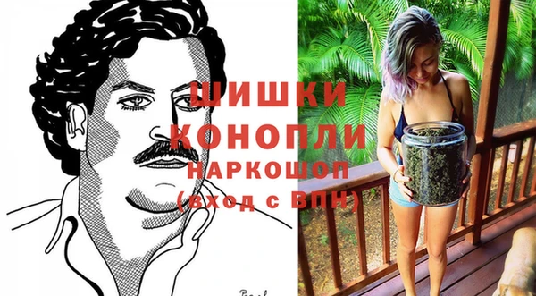 индика Богородицк