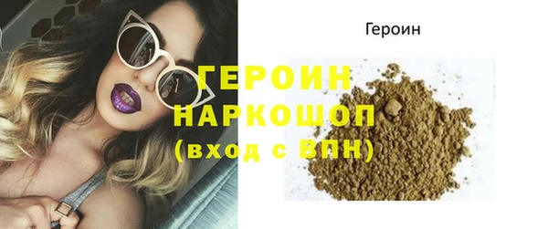 индика Богородицк