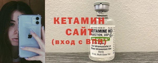 индика Богородицк