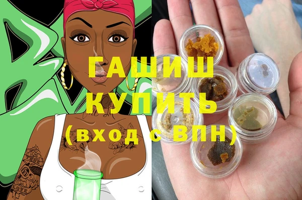 индика Богородицк