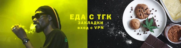 индика Богородицк