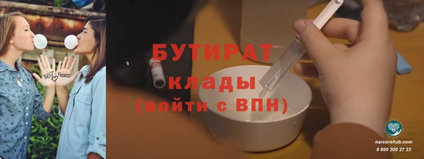 индика Богородицк