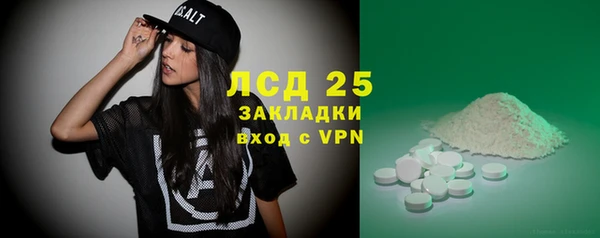 индика Богородицк
