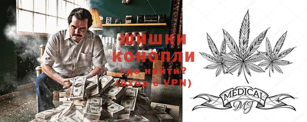 индика Богородицк