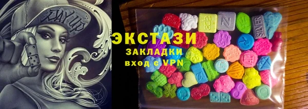 индика Богородицк