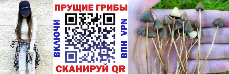 Псилоцибиновые грибы мухоморы  Разумное 